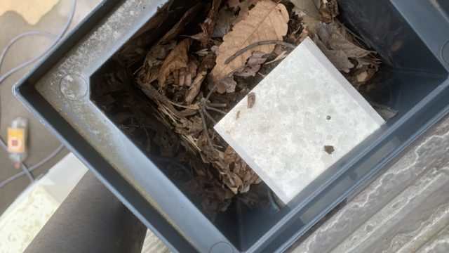 東京都|清瀬市Ｔ様邸:雨樋清掃を行いました！