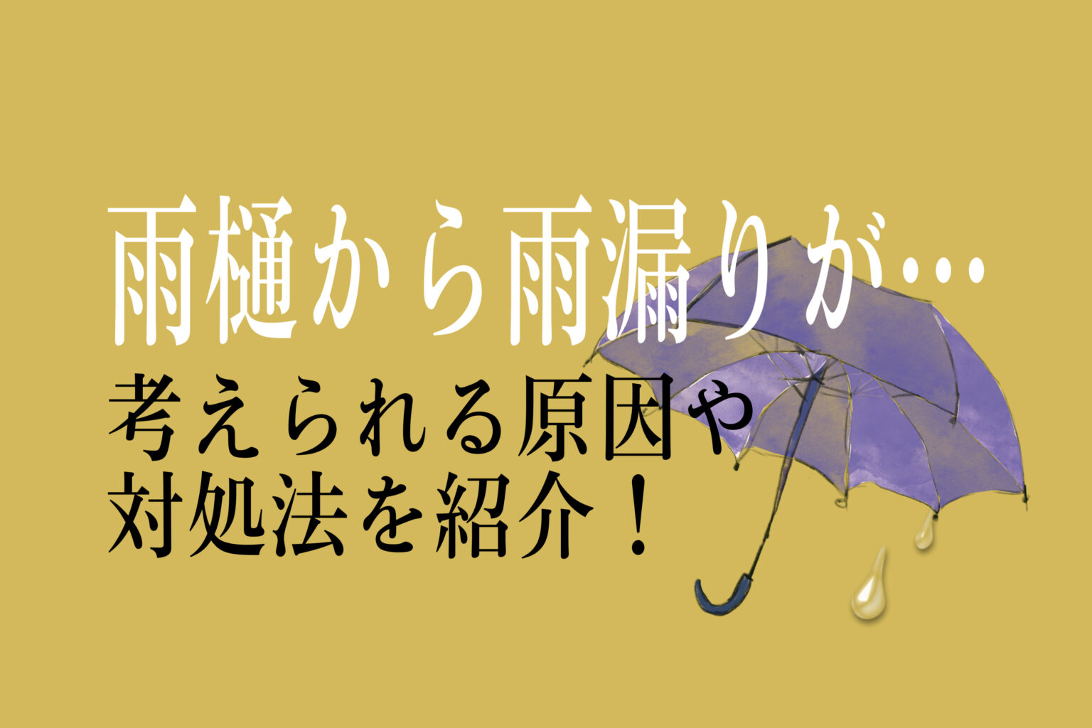 医師の診察の際に期待すること