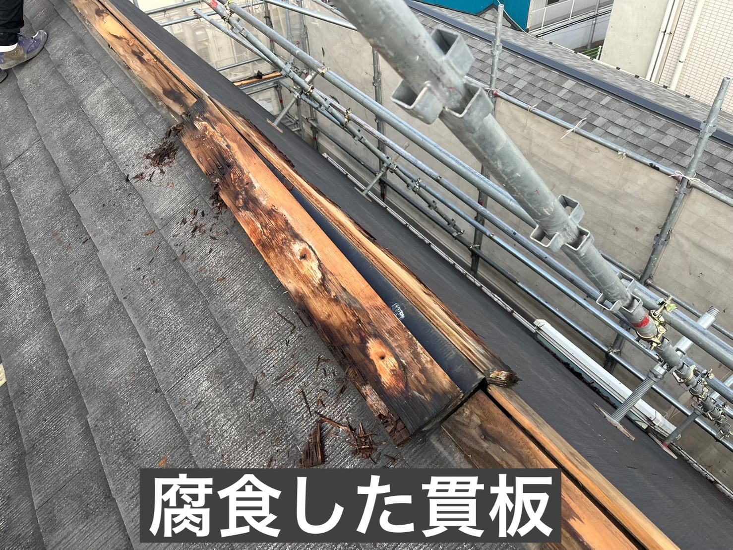 木制的贯板