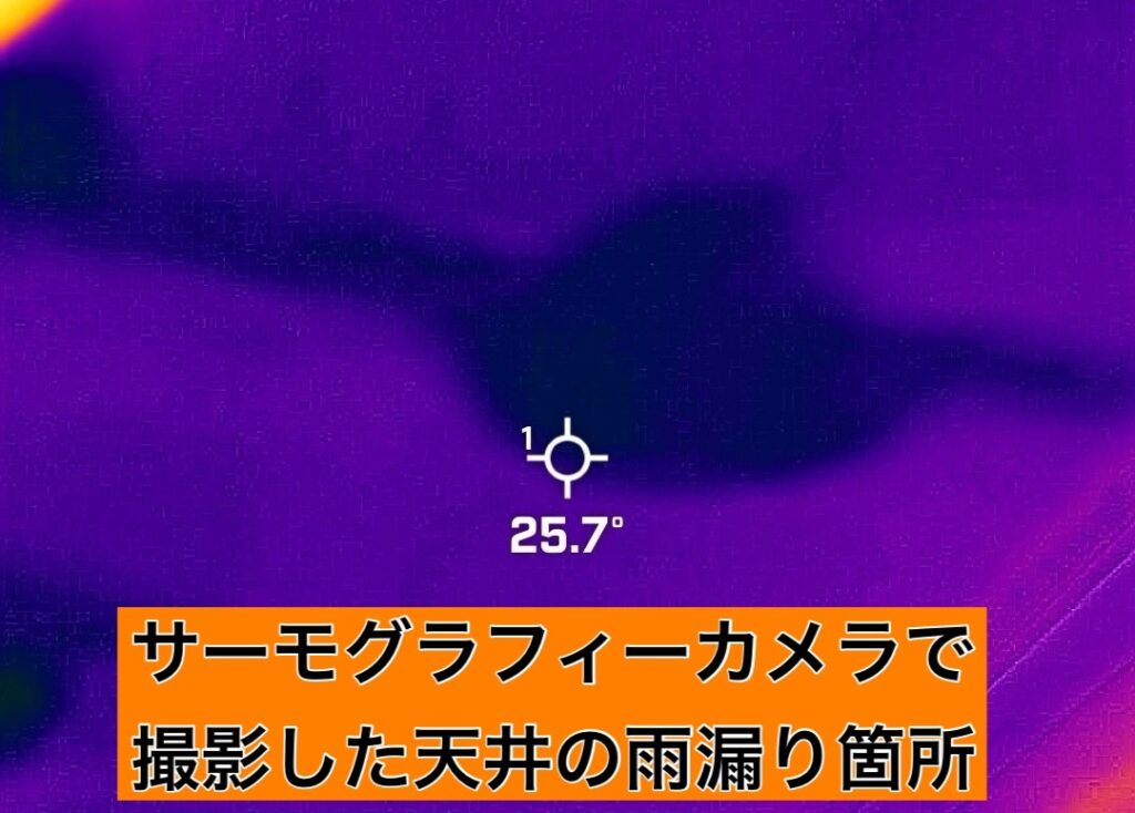 ドローン調査